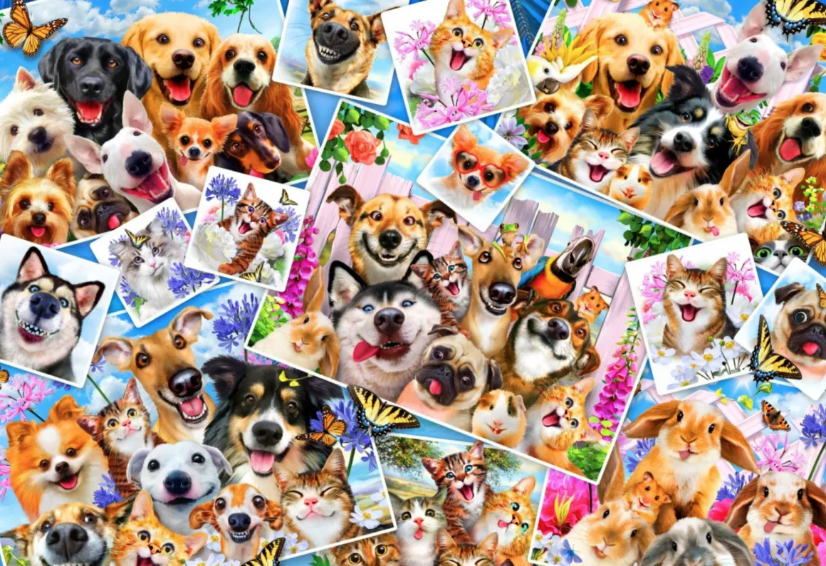 Bluebird Puzzle Collage van dieren selfies - puzzel van 260 stukjes