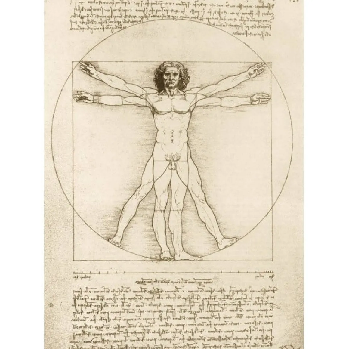 Bluebird Puzzle Leonardo Da Vinci - The Vitruvian Man, 1490 - 1000 stukjes