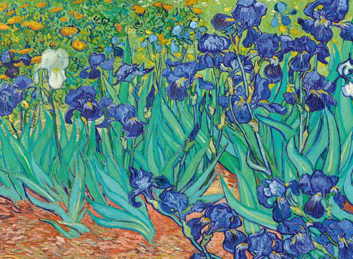 Bluebird Puzzle Vincent Van Gogh - Irissen - puzzel van 3000 stukjes