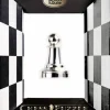 Cast Puzzle Pion Zilver- Schaakstuk - breinbreker