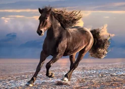 Clementoni Wild Paard - puzzel van 1000 stukjes