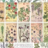 Cobble Hill Botanische kruiden door Verneuil - puzzel van 1000 stukjes