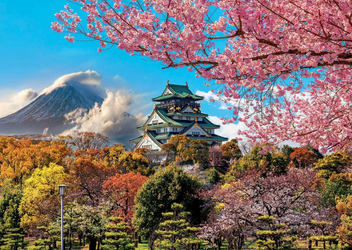 Educa Kasteel van Osaka - puzzel van 2000 stukjes