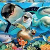 Educa Selfie onder water - puzzel van 100 stukjes