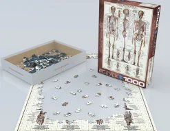 Eurographics Puzzles Het skeletsysteem - puzzel van 1000 stukjes