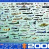Eurographics Puzzles Militaire Luchtvaart - Collage - puzzel van 2000 stukjes