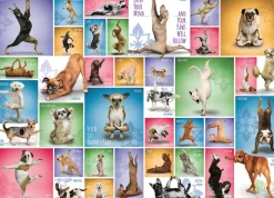Eurographics Puzzles Yoga Dogs - Collage - puzzel van 1000 stukjes