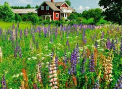Ravensburger Boerderij in Zweden - puzzel van 500 stukjes