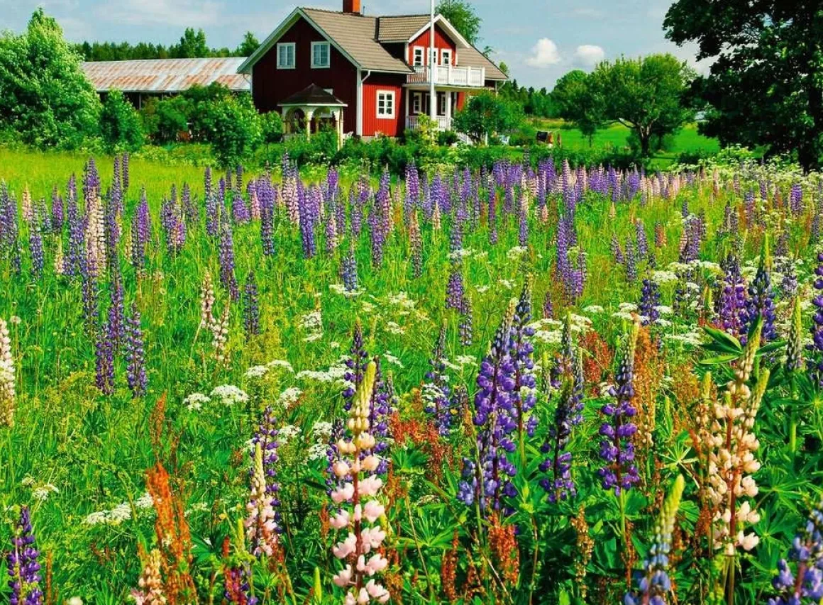 Ravensburger Boerderij in Zweden - puzzel van 500 stukjes