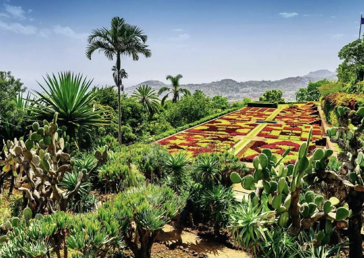 Ravensburger Botanische Tuinen - Madeira - puzzel van 1000 stukjes