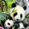 Ravensburger Lieve panda - 300 stukjes XXL