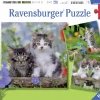 Ravensburger Tijger katjes - 3 puzzels van 49 stukjes