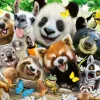Ravensburger Wildlife selfie - 300 stukjes