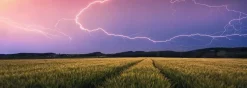 Ravensburger Zomers onweer - puzzel van 500 stukjes